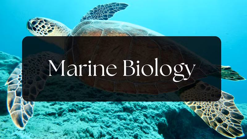 Marine Biology - Apologia