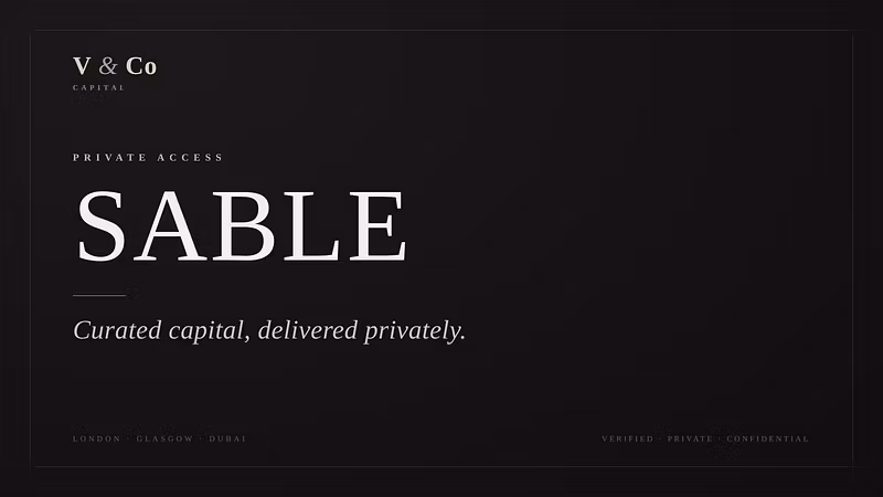 V & Co Capital
