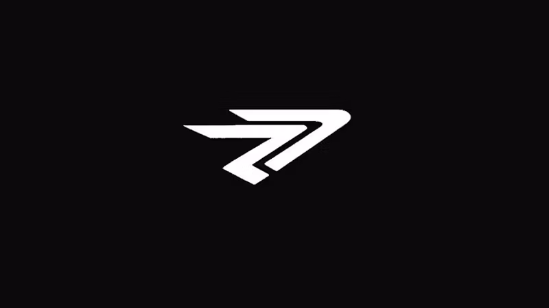 RepVision