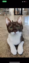 Profile picture