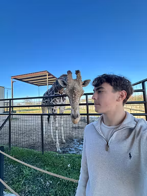Profile picture