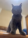 Profile picture