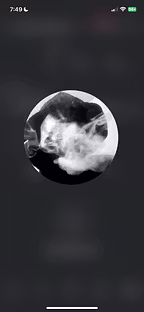 Profile picture