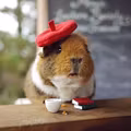 Profile picture