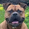Profile picture