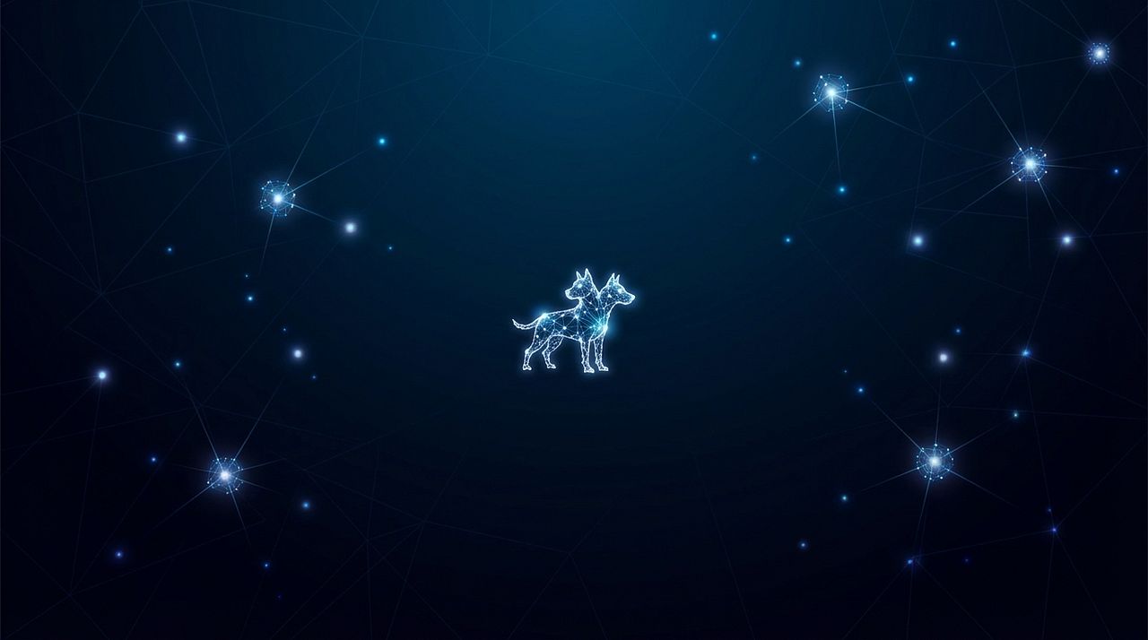Cerberus