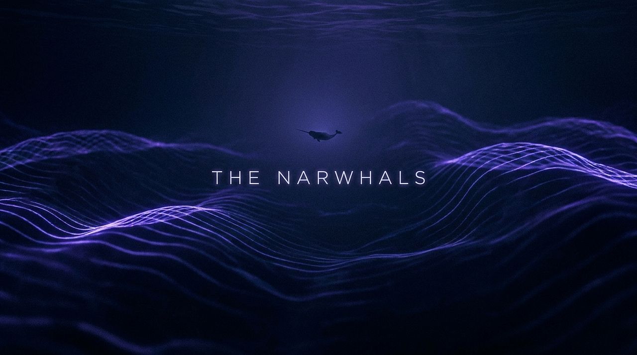 The Narwhals