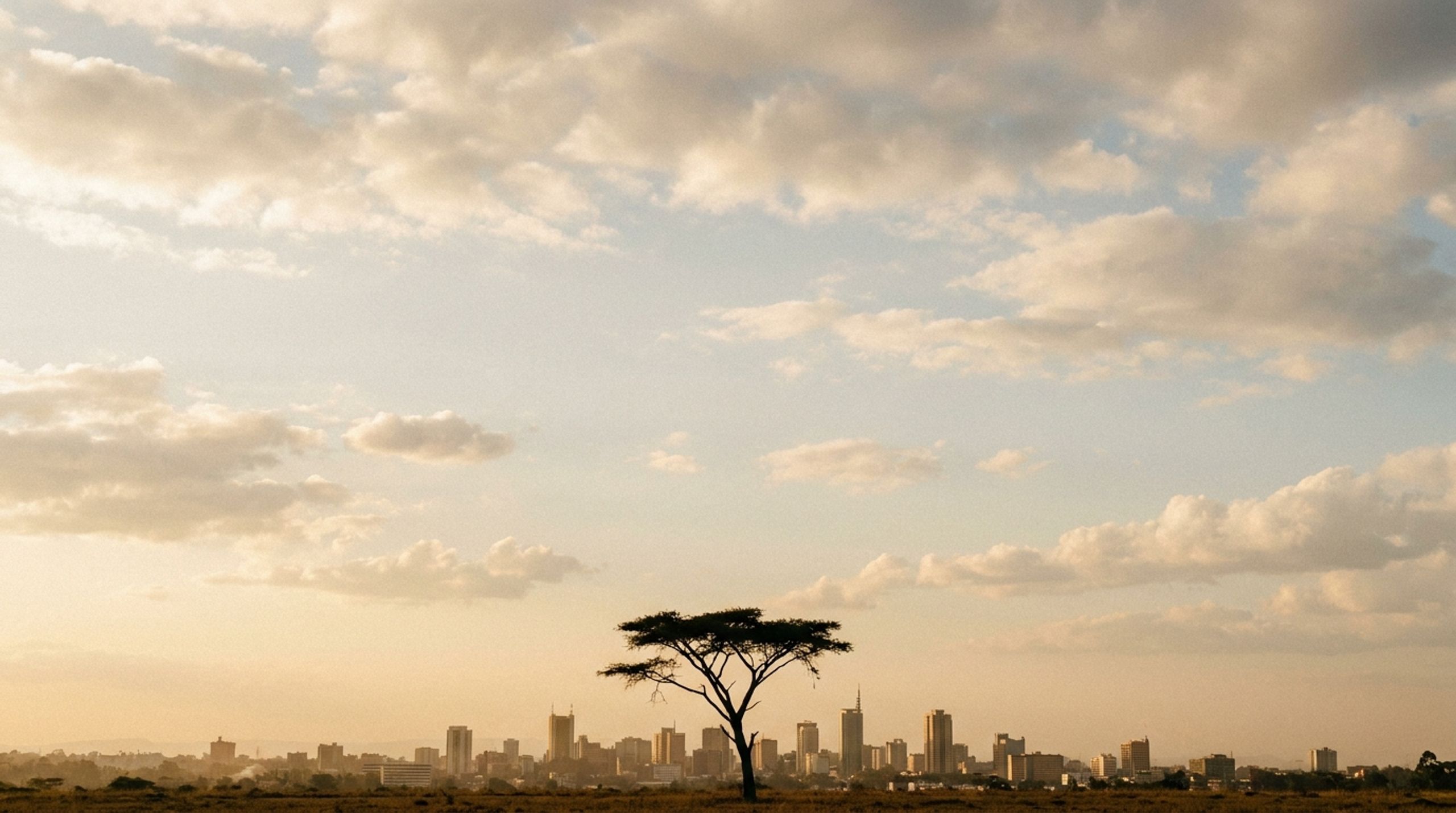 Nairobi Concierge