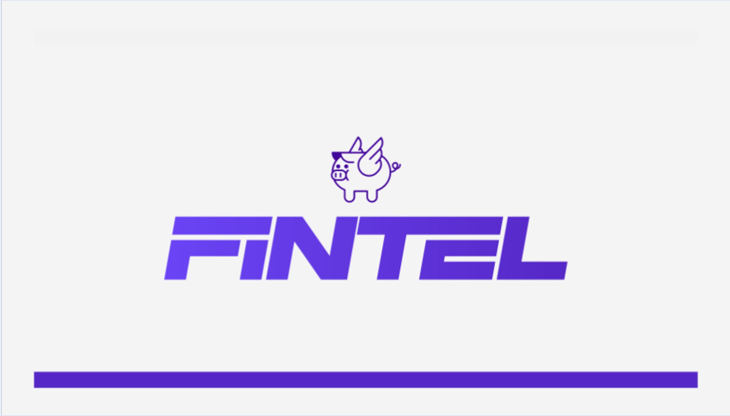 Fintel Group