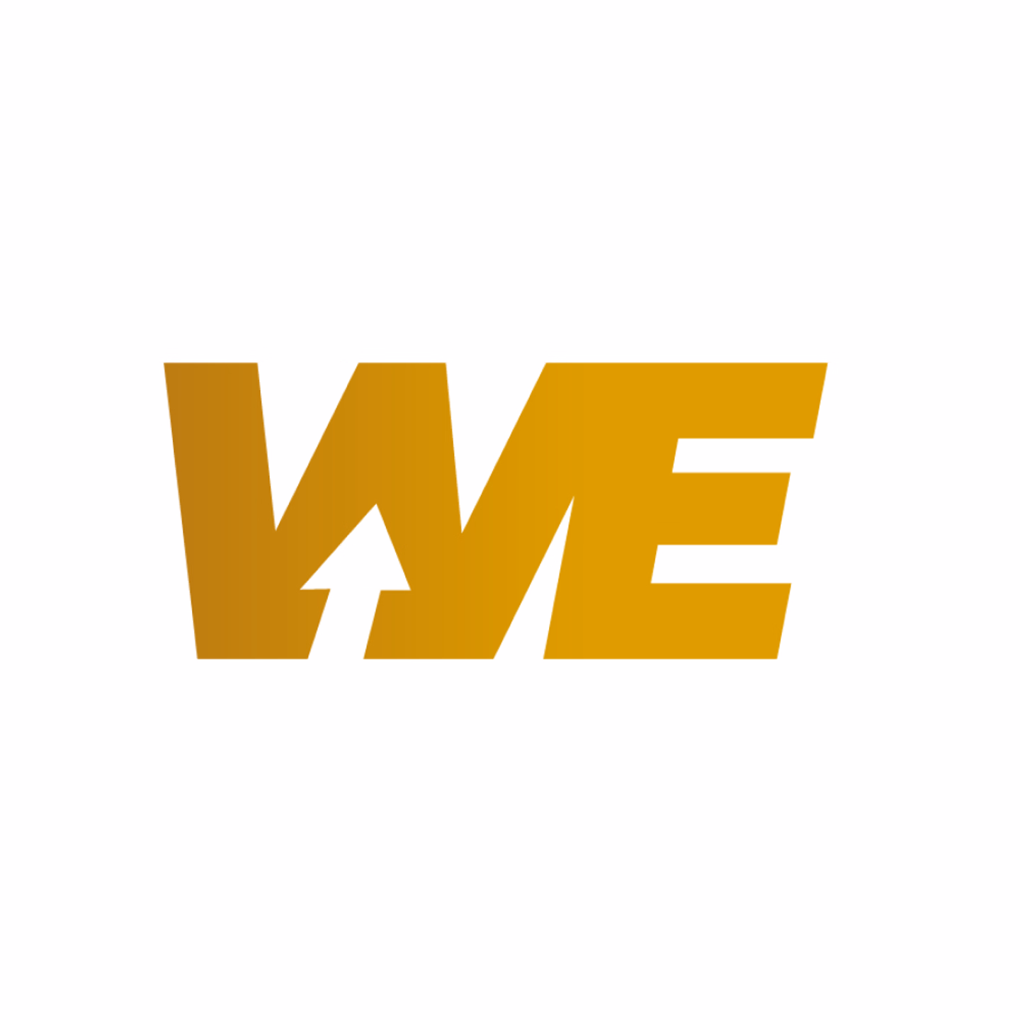 WE Management Services