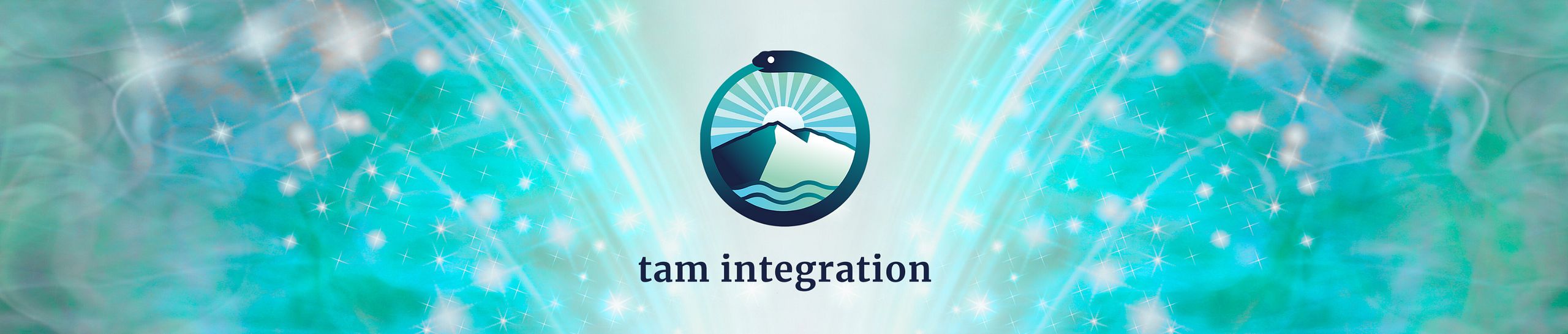 Tam Integration