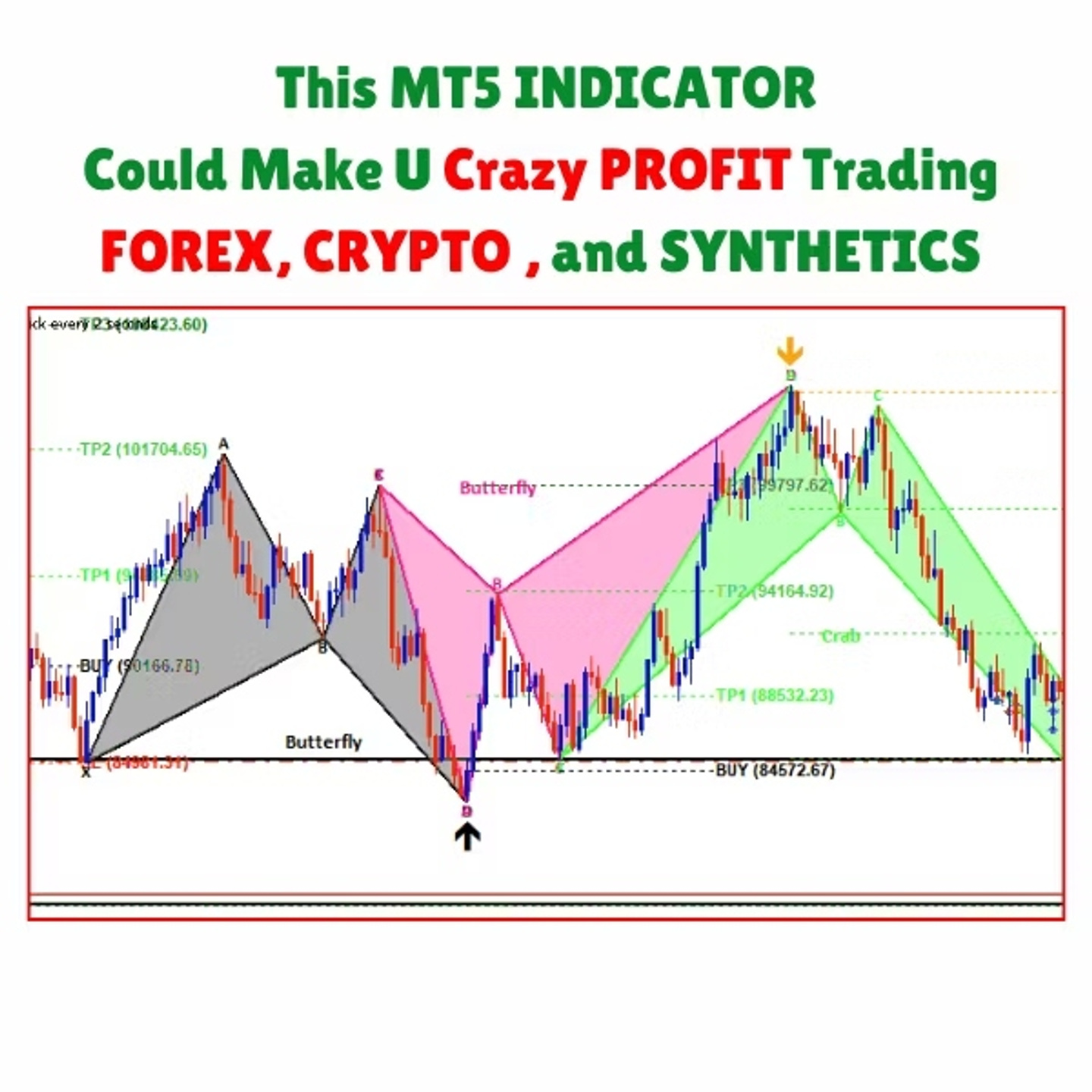 HSM TRADERS ACADEMY