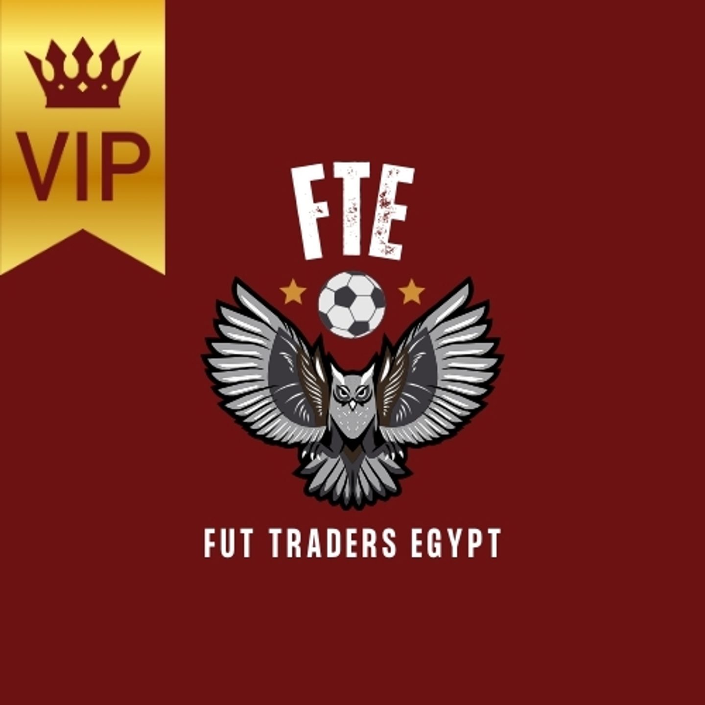 FTE Discord Pass