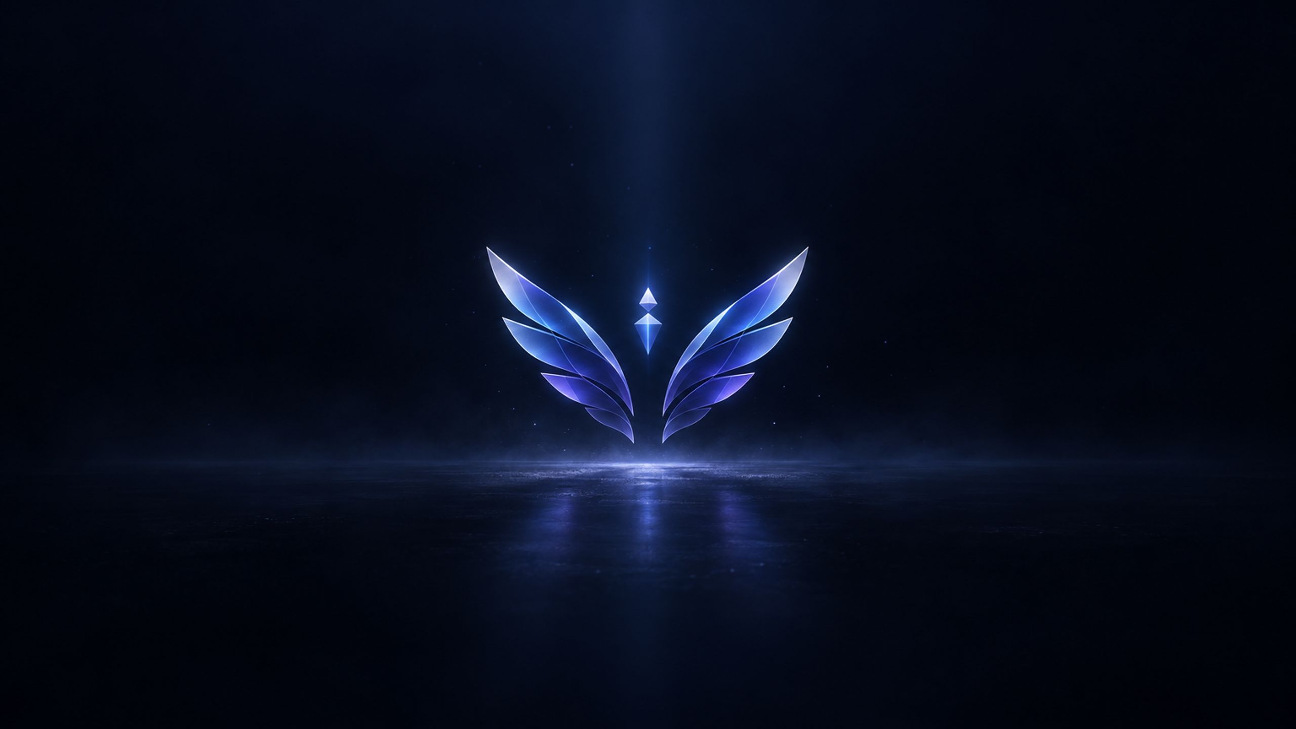 PERSON WINGS