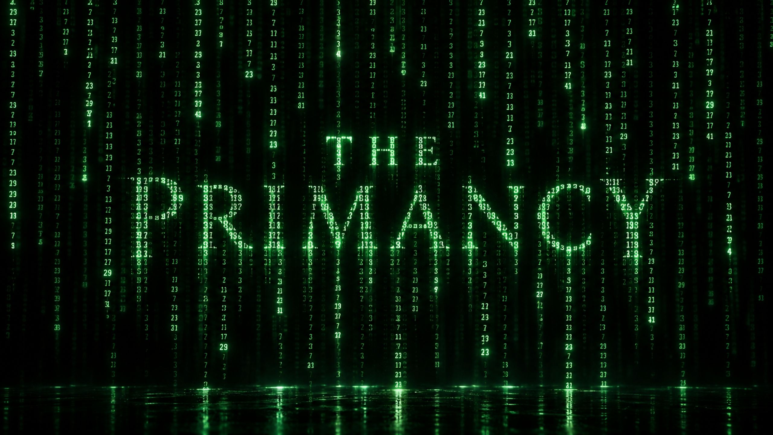 The Primancy
