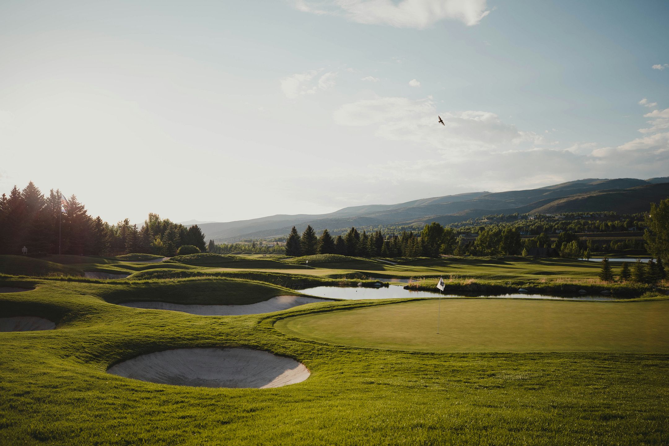 Lower Golf Score Academy