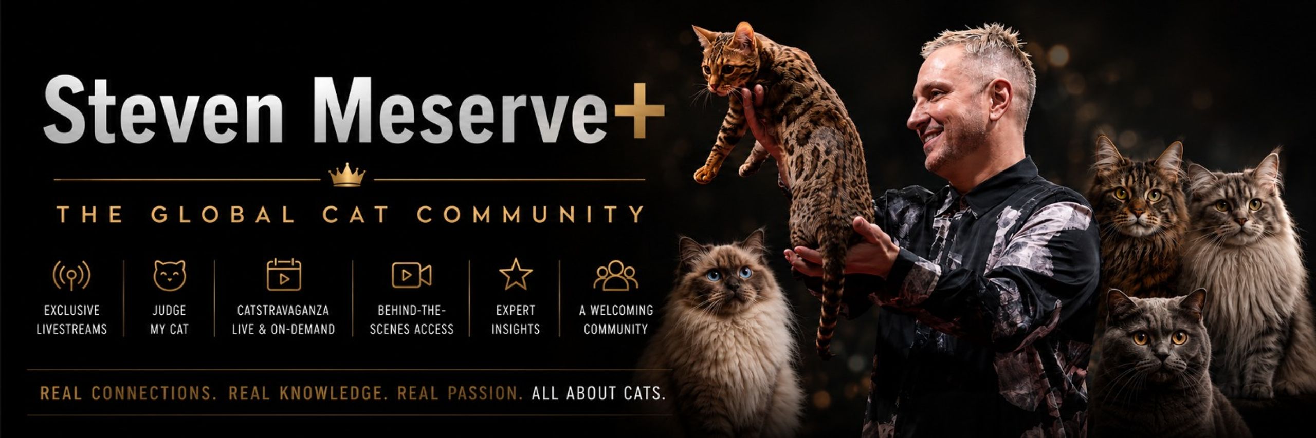 Steven Meserve+ The Global Cat Community
