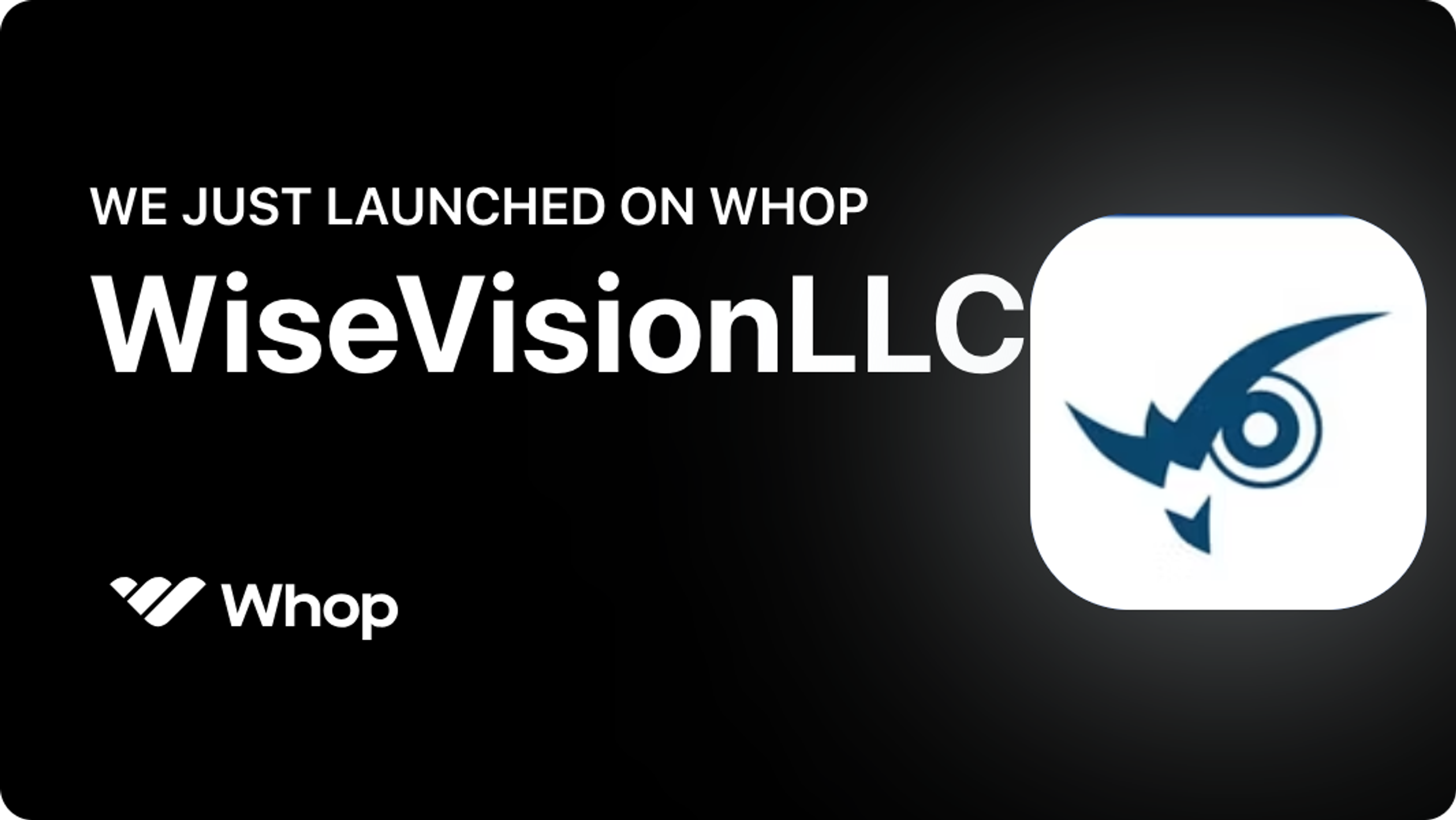 WiseVisionLLC